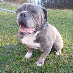 OFFERS ACCEPTED- Miscellaneous Cabbage Patch creator XAVIER ROBERTS originals